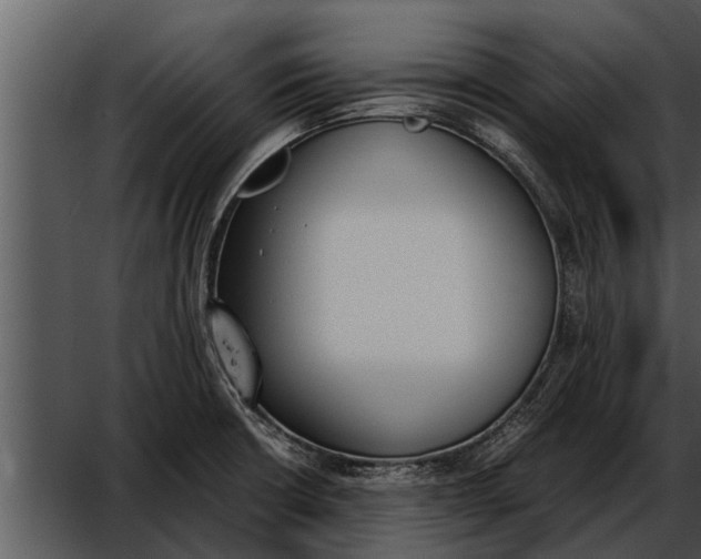 X0000052611426200507160025