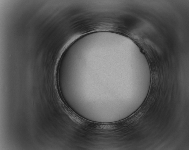 X0000052611427200507160025