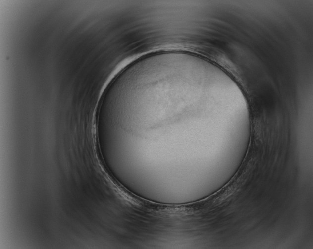 X0000052611428200507160025