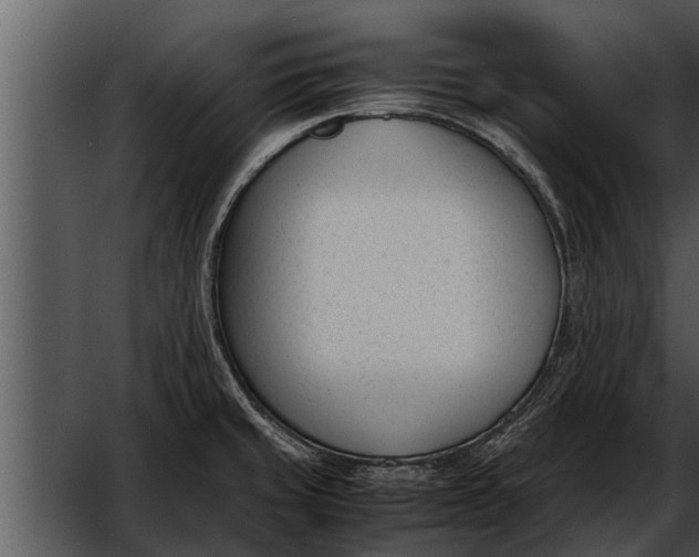 X0000052611429200507160025