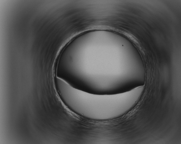 X0000052611430200507160025