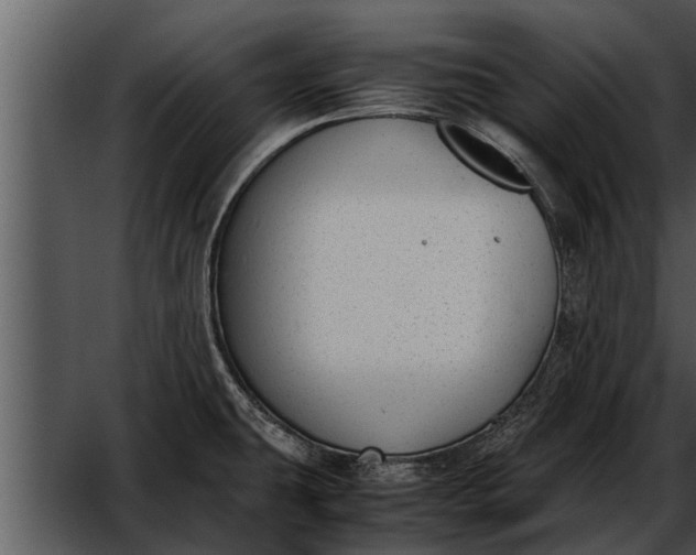 X0000052611431200507160025