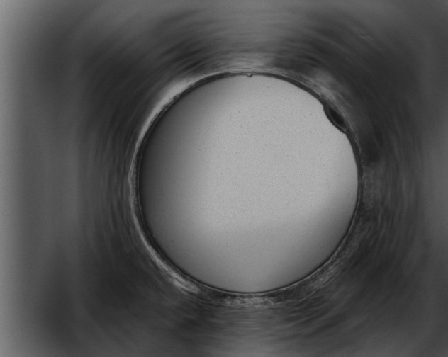 X0000052611432200507160025