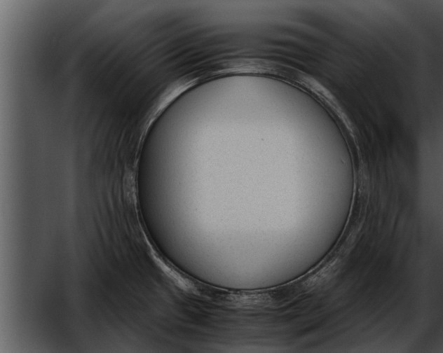 X0000052611433200507160026