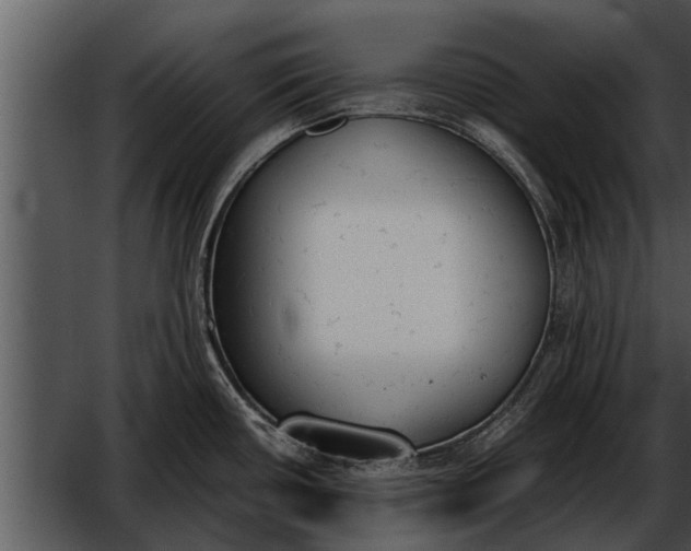 X0000052611434200507160026