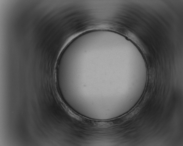 X0000052611436200507160026