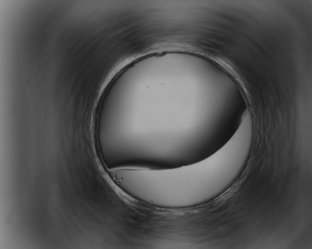 X0000052611438200507160026