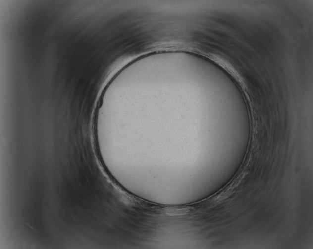 X0000052611440200507160026