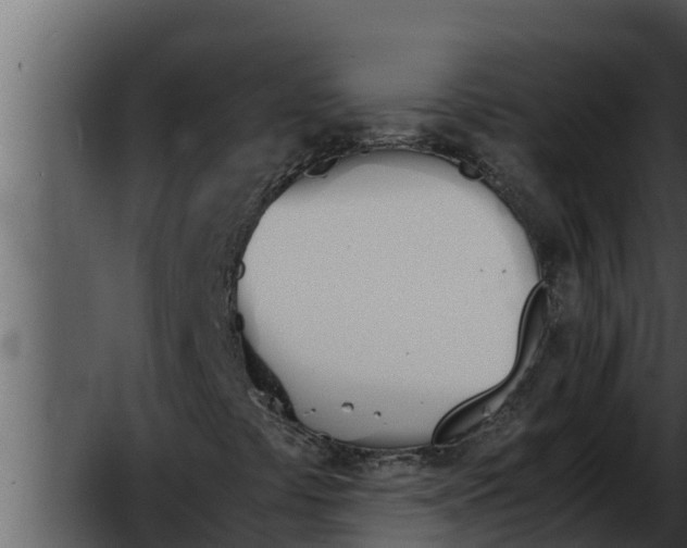 X0000052611441200507160025