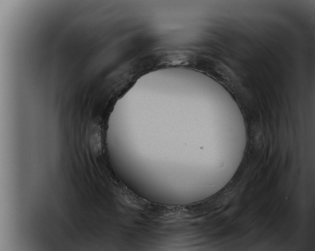 X0000052611442200507160025