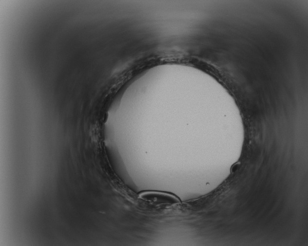 X0000052611445200507160025