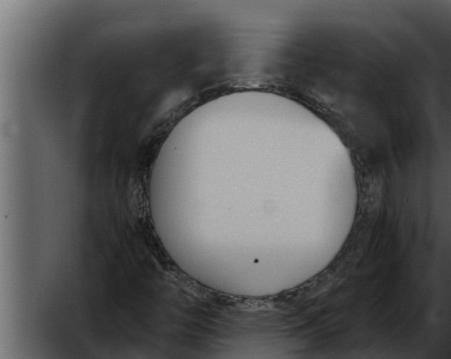 X0000052611446200507160025