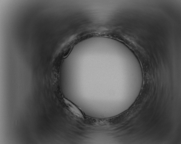 X0000052611447200507160025