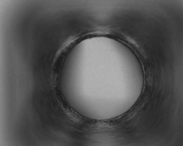 X0000052611448200507160025