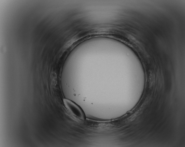 X0000052611449200507160025