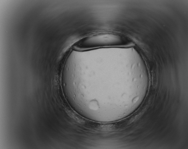 X0000052611453200507160025