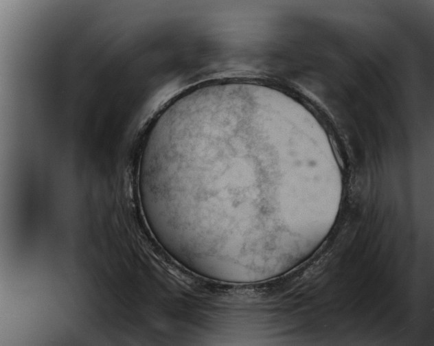 X0000052611455200507160025