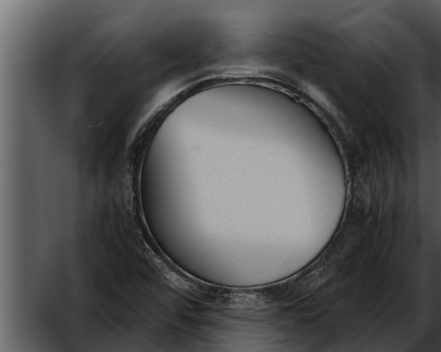 X0000052611456200507160025