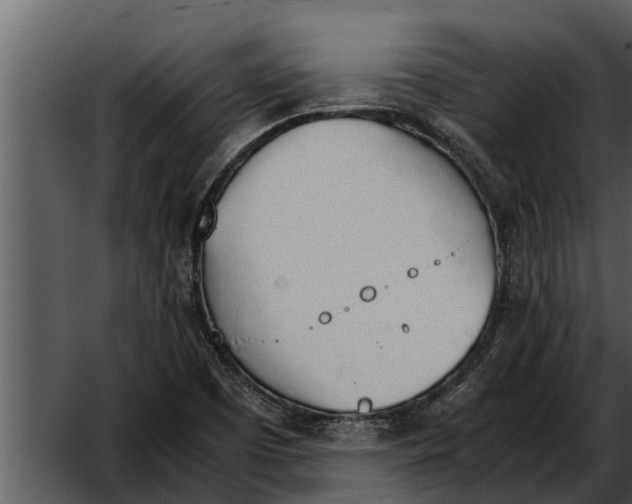 X0000052611457200507160025