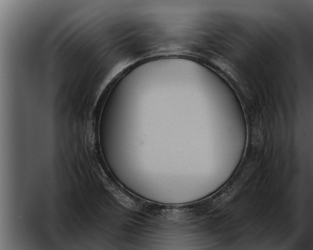 X0000052611458200507160025