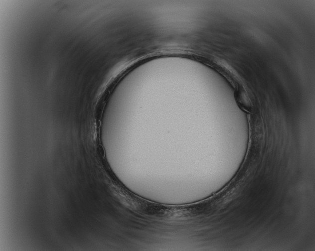 X0000052611461200507160024