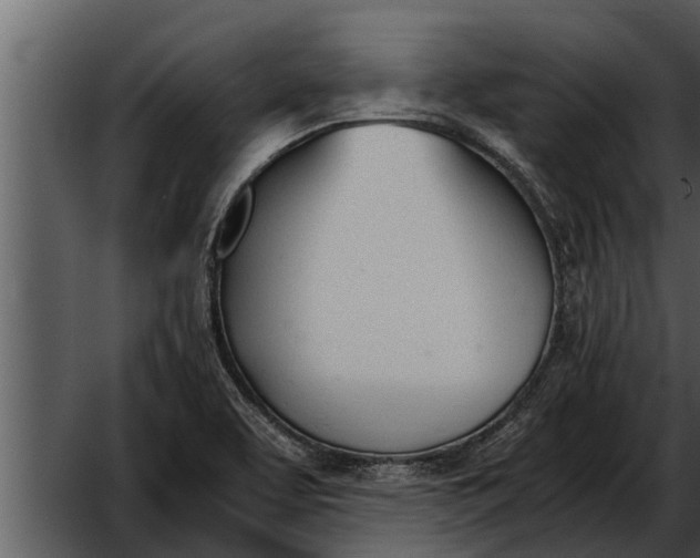 X0000052611463200507160024