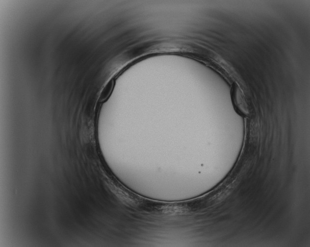 X0000052611465200507160024