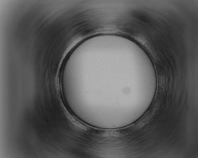 X0000052611466200507160024