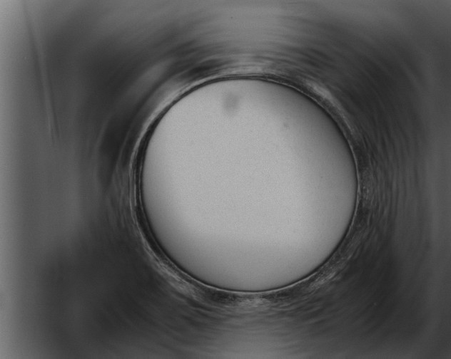 X0000052611467200507160024