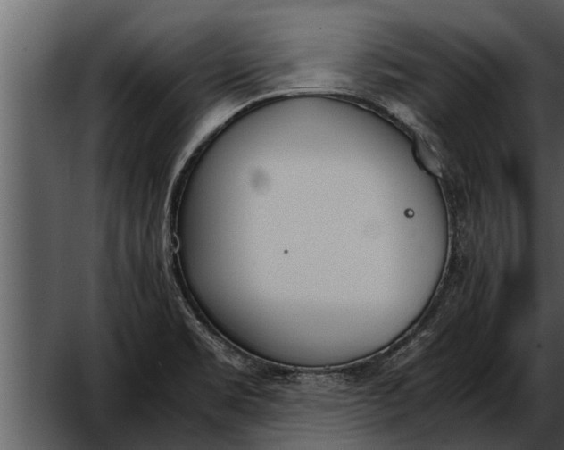 X0000052611469200507160024