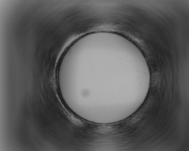 X0000052611470200507160024