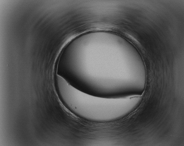 X0000052611471200507160024