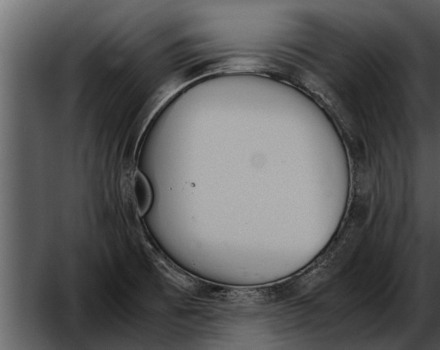 X0000052611473200507160024