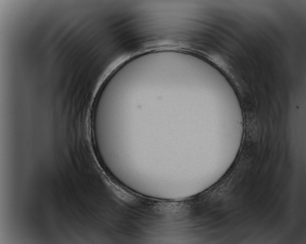 X0000052611474200507160024