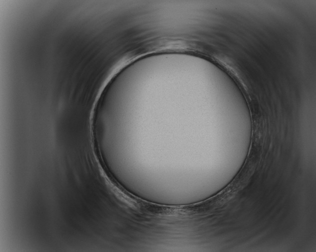 X0000052611475200507160024