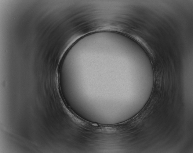 X0000052611476200507160024