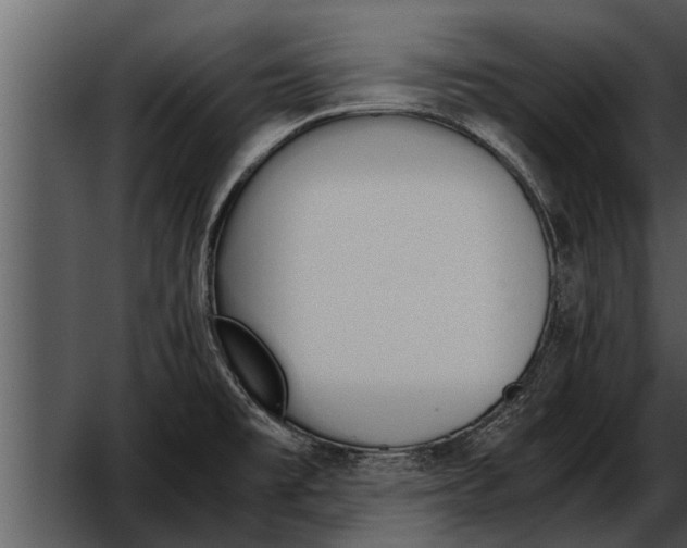 X0000052611477200507160024