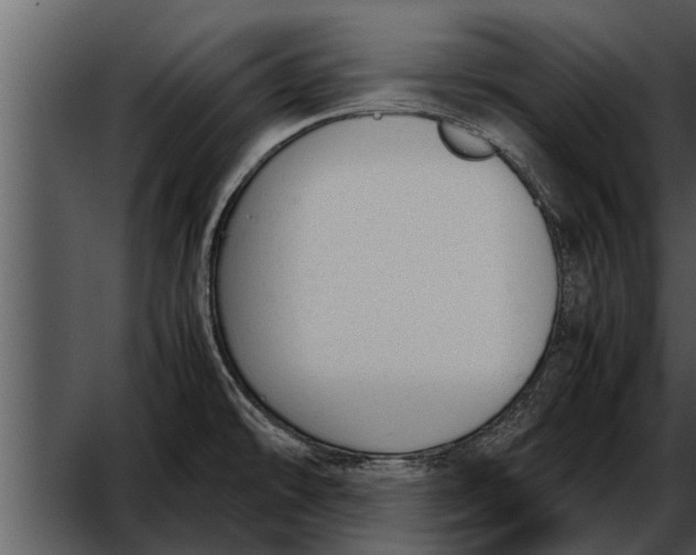 X0000052611478200507160024