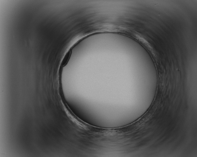 X0000052611479200507160024