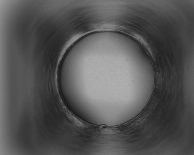 X0000052611480200507160024