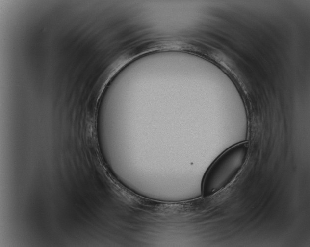 X0000052611481200507160024