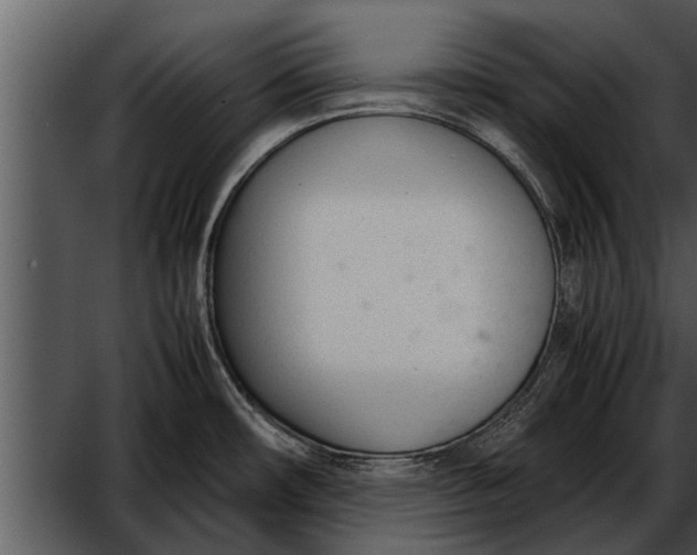 X0000052611482200507160024