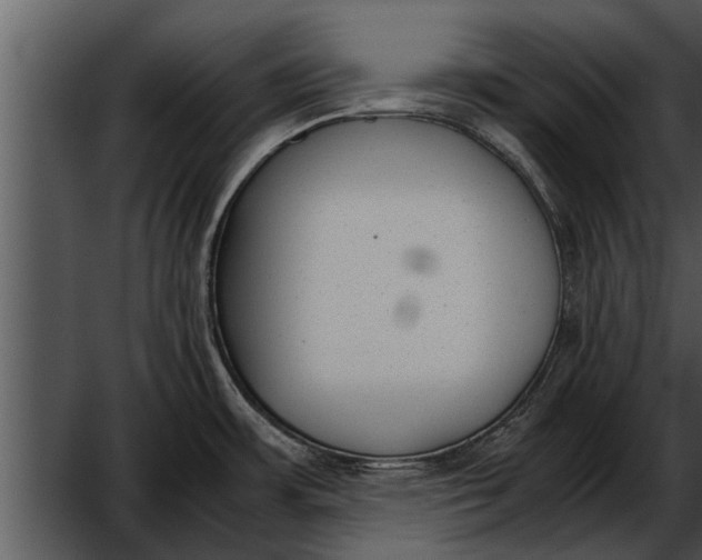 X0000052611483200507160024