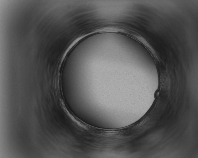 X0000052611484200507160024