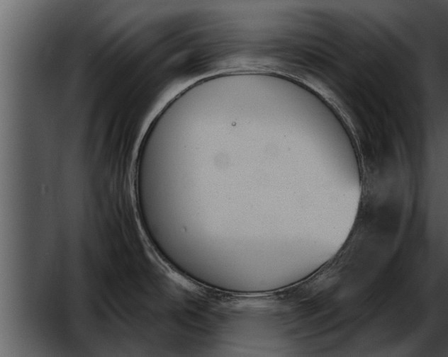 X0000052611486200507160024