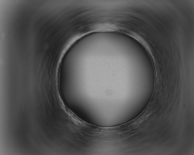 X0000052611488200507160024