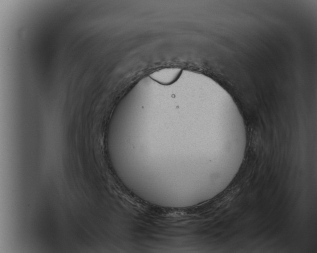 X0000052611489200507160023