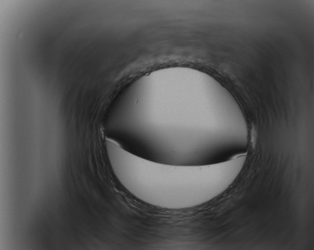 X0000052611492200507160023