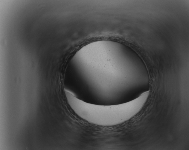 X0000052611493200507160023