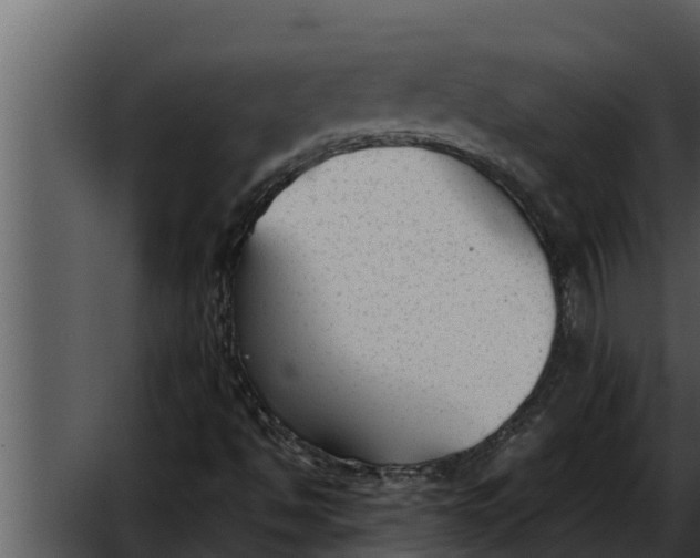 X0000052611494200507160023